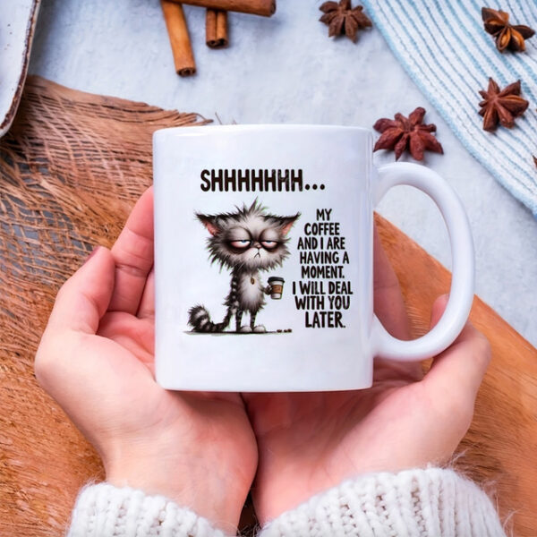 Funny Coffee Mug 11oz Ceramic Mug Funny Mug Funny Coffee Mug For Family/Friends/Sister/Colleague Novelty Coffee Mug Summer Winter Drinkware Party/Birt